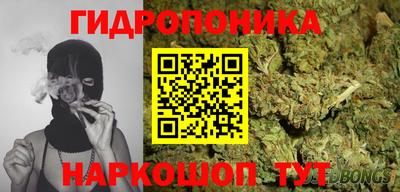 мдпв Аргун