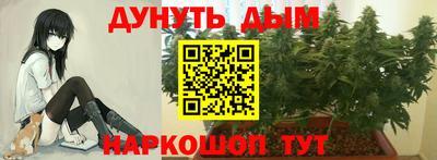 мдпв Аргун