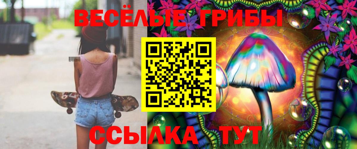 Псилоцибиновые грибы GOLDEN TEACHER Бердск