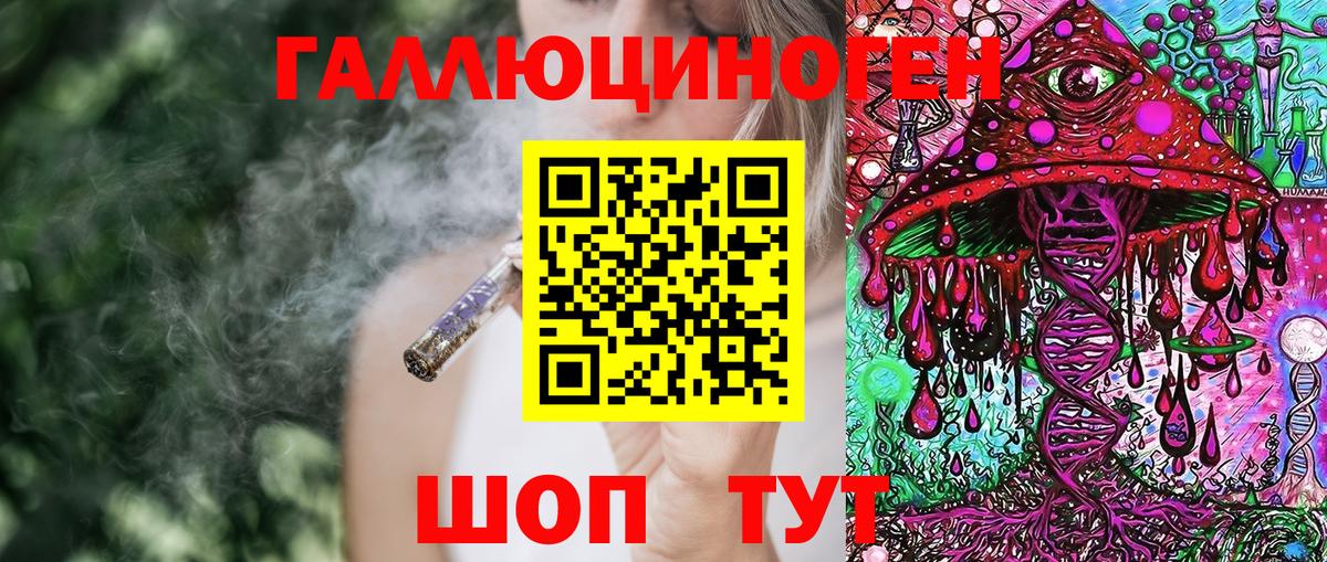 Псилоцибиновые грибы прущие грибы  Вход с VPN  Бердск 